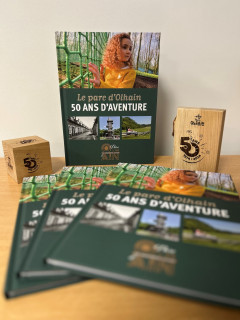 622248095-1192303586381942-8614789076797632477-n-10892