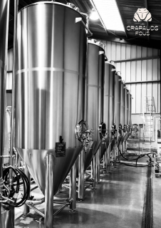 crapauds-fous1-10556