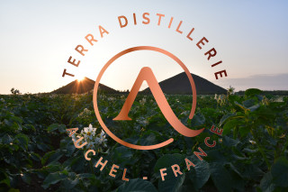 logo-photo-terils-10473