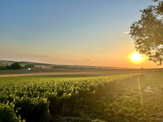 terres-de-gr-s-1-9992