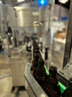 visite-crapauds-fous-4-b-thune-bruay-tourisme-10750 visite-crapauds-fous-4-b-thune-bruay-tourisme-10750