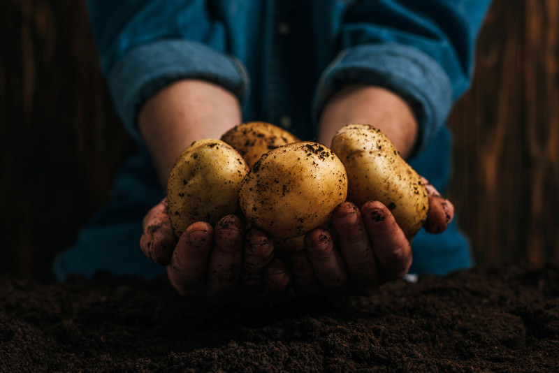 adobestock-304481269-11983 adobestock-304481269-11983