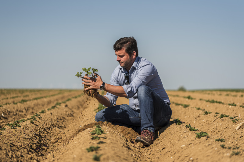 andre-champ-pdt-10877 andre-champ-pdt-10877