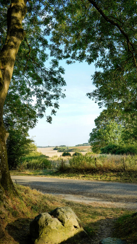 paysage-6-destination-be-thune-11818