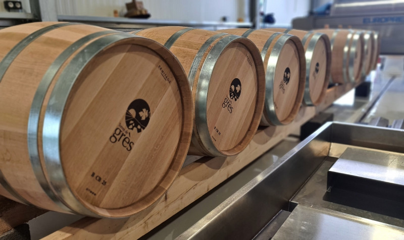 resized-20250924-175149-10231 resized-20250924-175149-10231